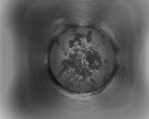 X0000093400032200710190933