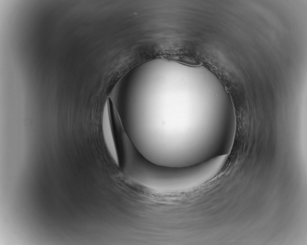 X0000093400033200710190933