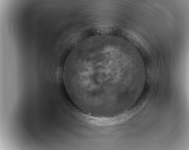 X0000093400034200710190933