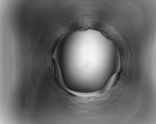 X0000093400037200710190933