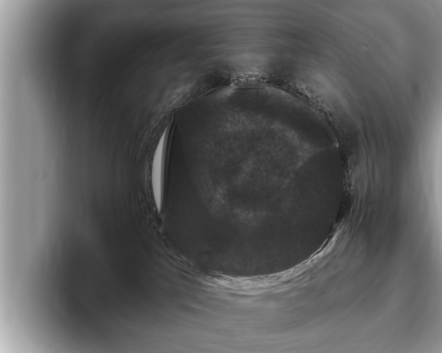 X0000093400041200710190933