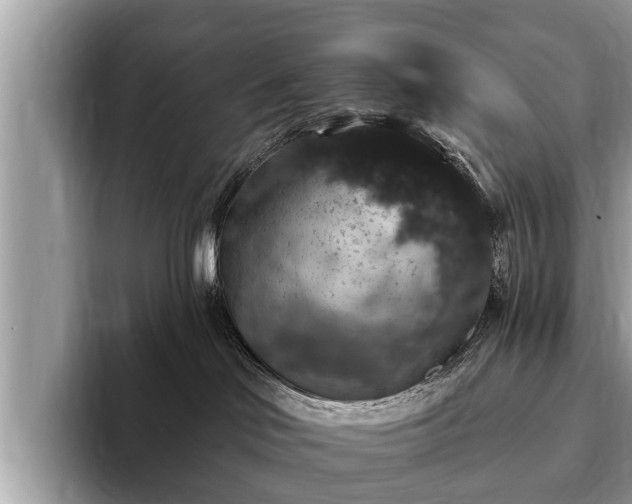 X0000093400046200710190933