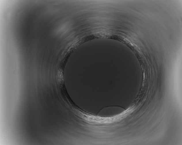 X0000093400048200710190933