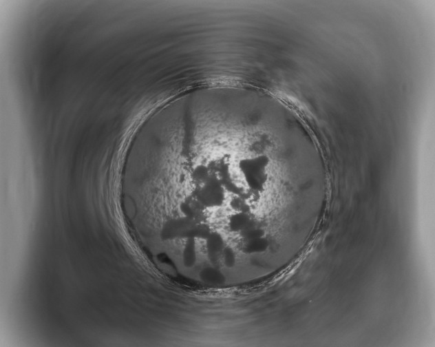 X0000093400049200710190933