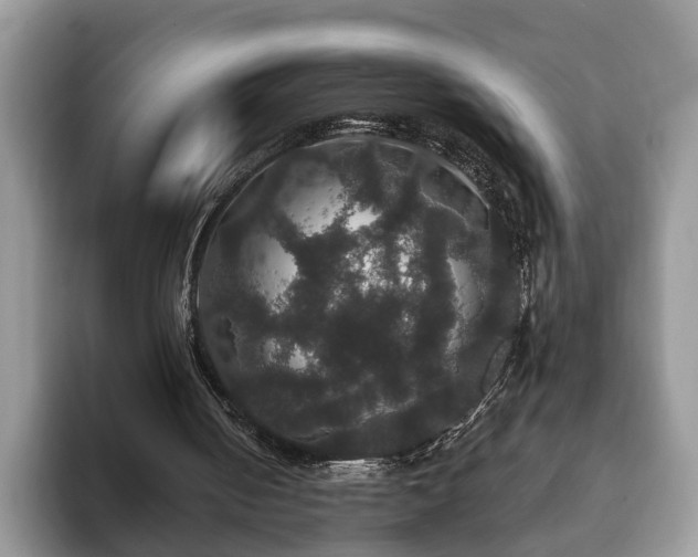 X0000093400050200710190933