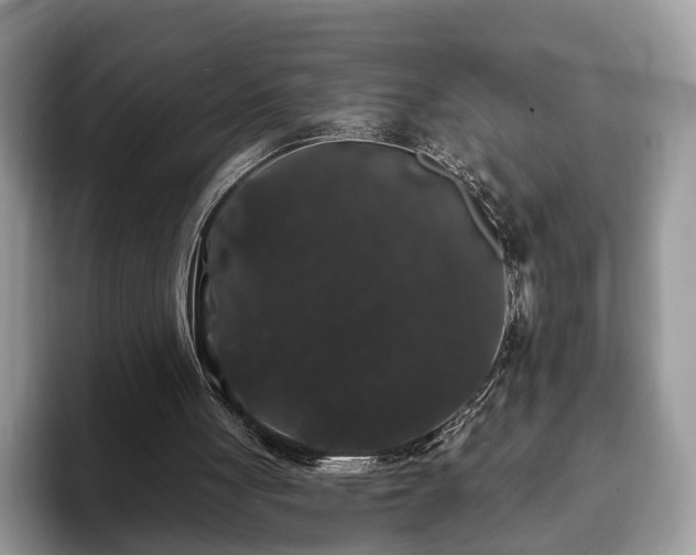 X0000093400051200710190933