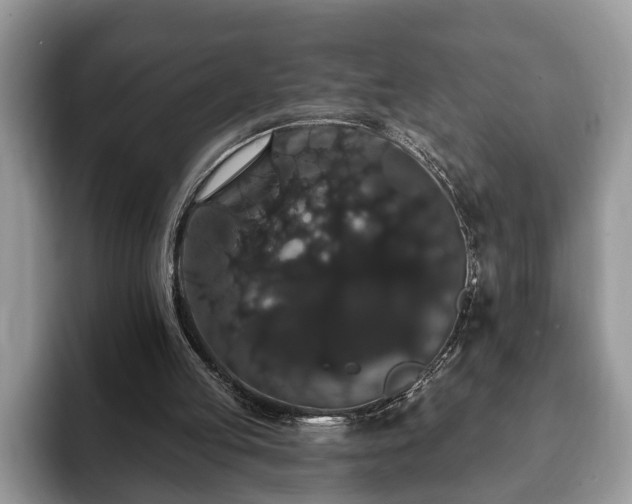 X0000093400053200710190933