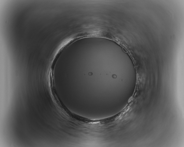 X0000093400054200710190933
