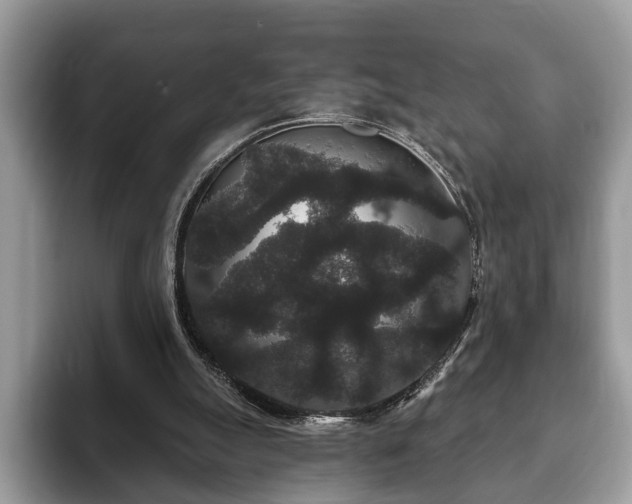 X0000093400055200710190933