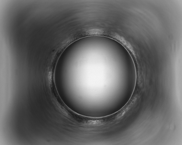 X0000093400057200710190933