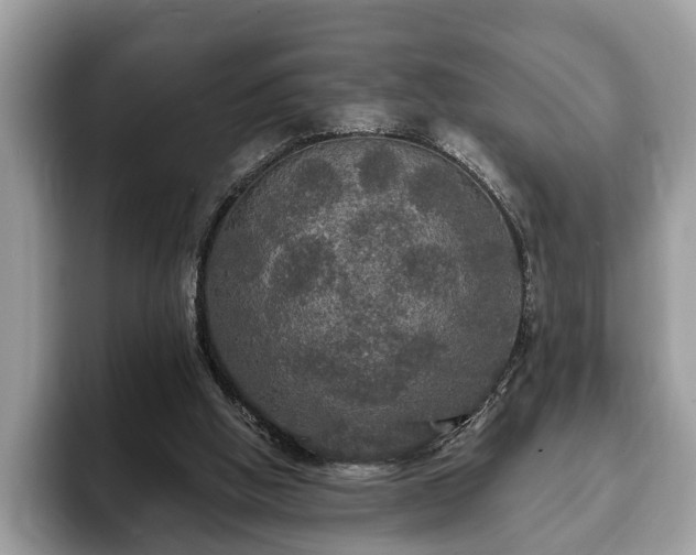 X0000093400058200710190933