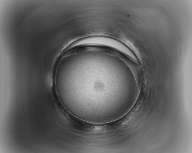 X0000093400060200710190933