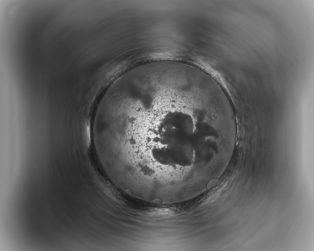 X0000093400061200710190933