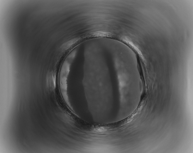 X0000093400062200710190933
