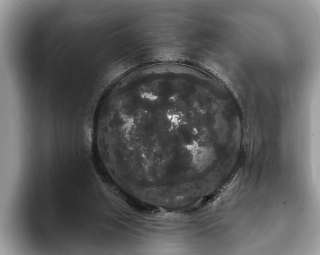 X0000093400063200710190933