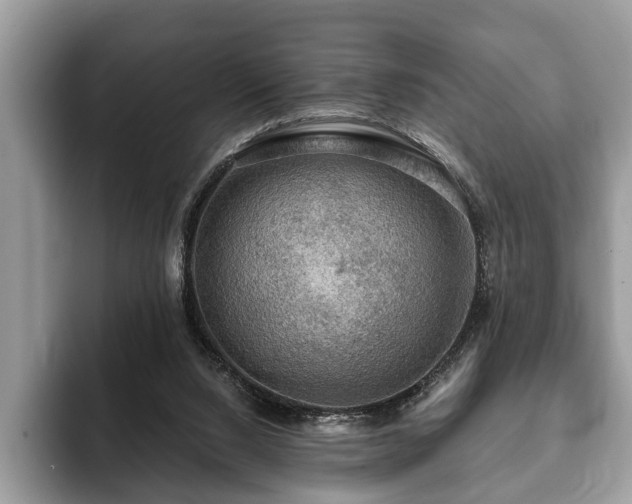 X0000093400064200710190933