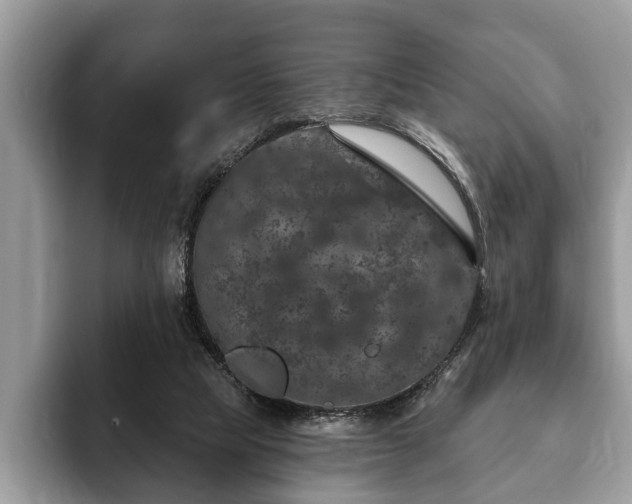 X0000093400065200710190933