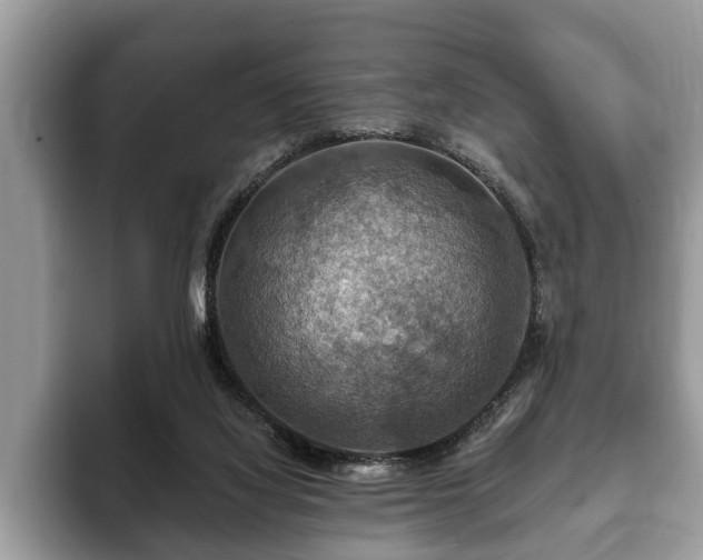 X0000093400068200710190933