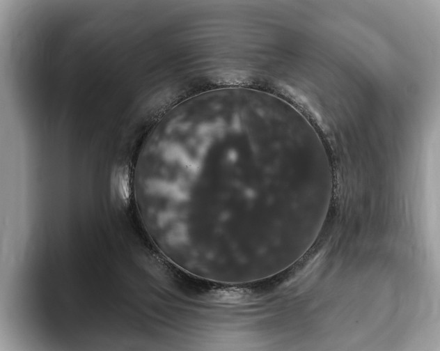 X0000093400069200710190933