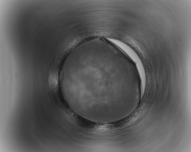 X0000093400072200710190933