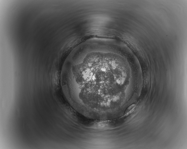 X0000093400078200710190933