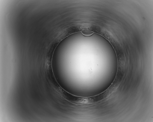 X0000093400083200710190933