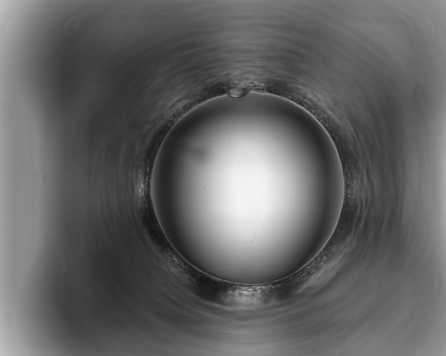 X0000093400084200710190933