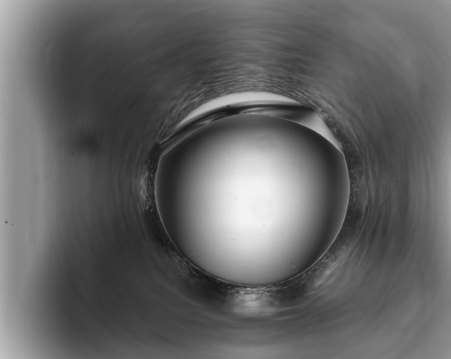 X0000093400088200710190933
