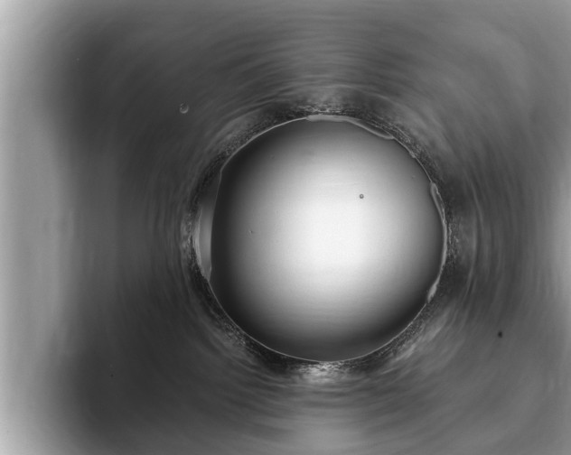 X0000093400092200710190933