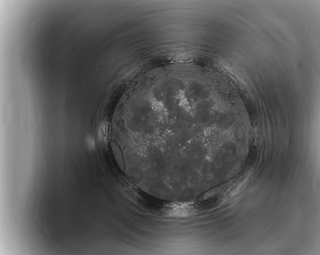 X0000093400093200710190933