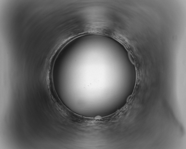 X0000093400098200710190933