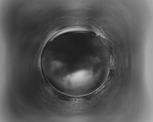 X0000093400099200710190933
