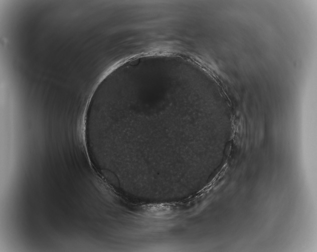 X0000093400100200710190933