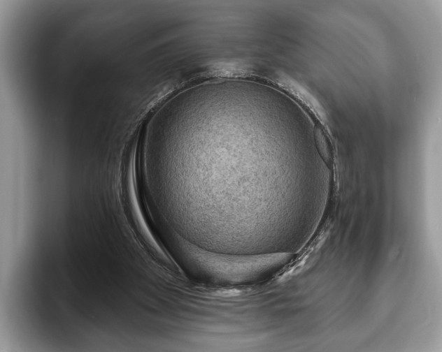 X0000093400105200710190932