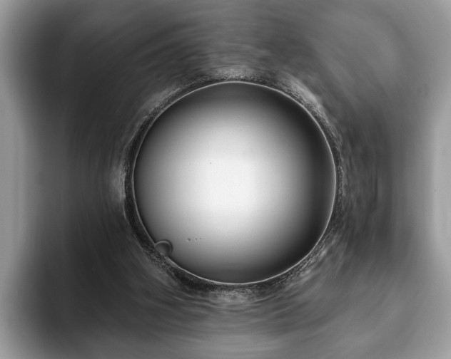 X0000093400106200710190932