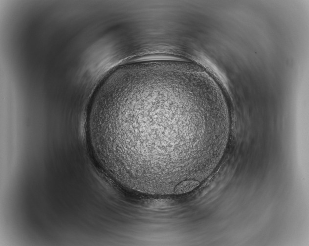 X0000093400107200710190932