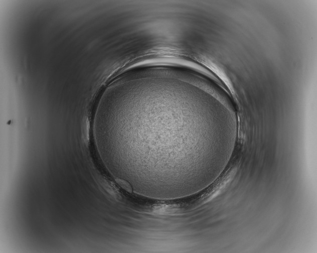 X0000093400109200710190932