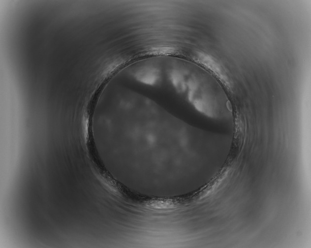 X0000093400110200710190932