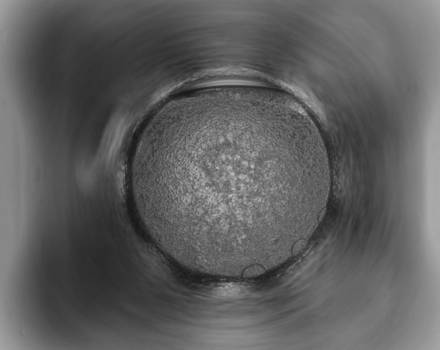 X0000093400111200710190932