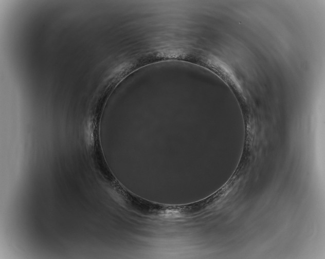 X0000093400114200710190932
