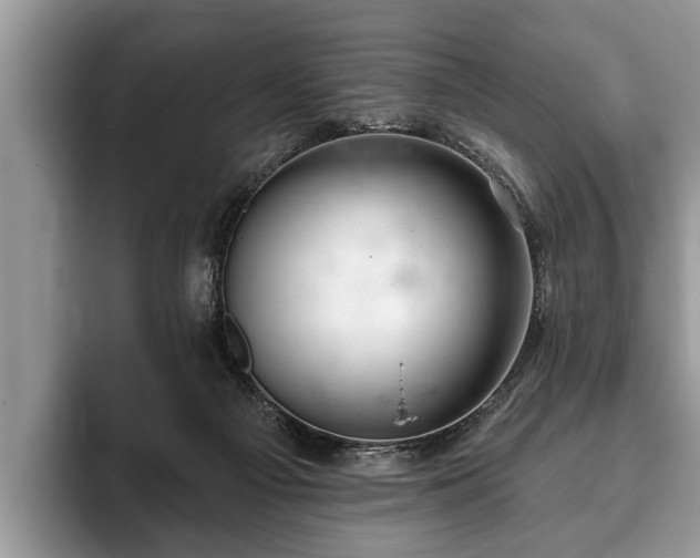 X0000093400121200710190932