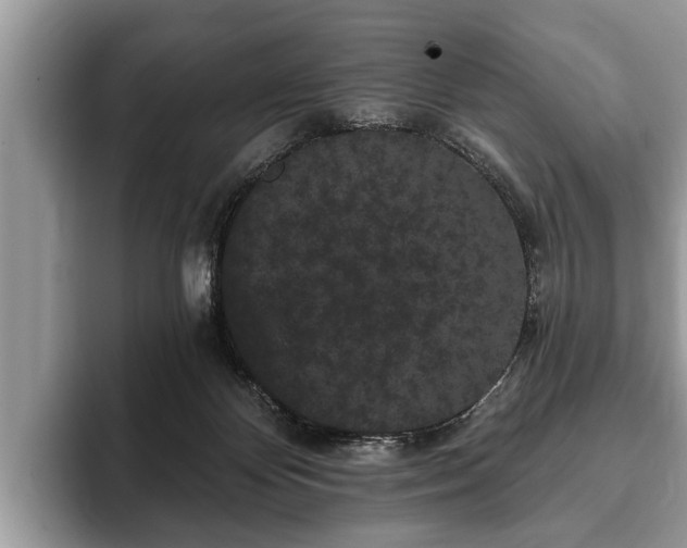 X0000093400124200710190932