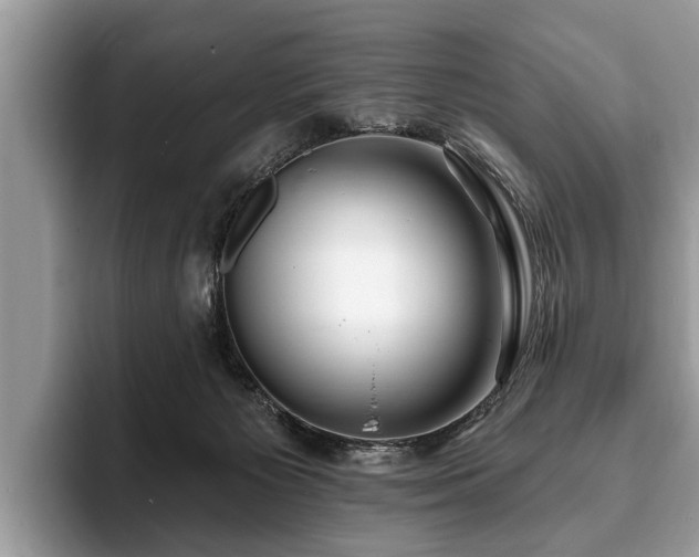 X0000093400125200710190932
