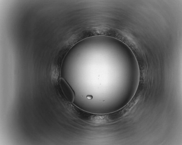 X0000093400129200710190932
