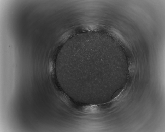 X0000093400132200710190932