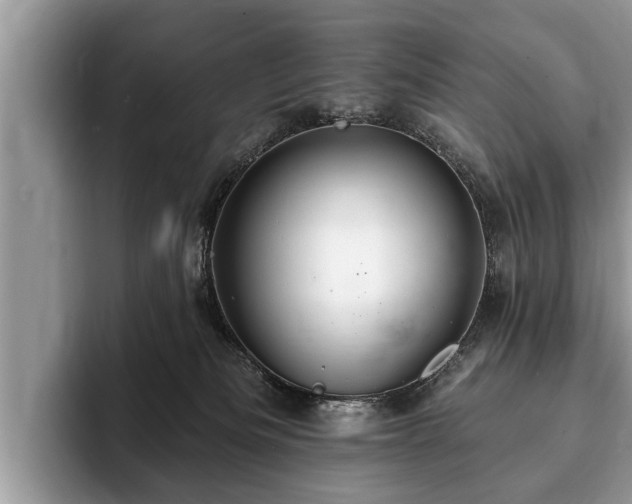 X0000093400133200710190932