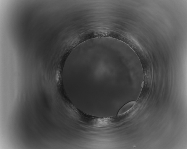 X0000093400134200710190932