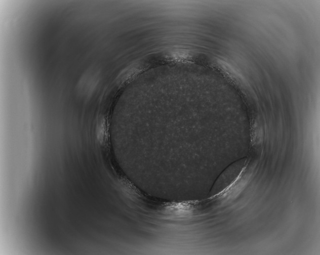 X0000093400140200710190932