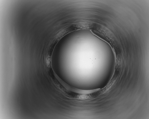 X0000093400141200710190932