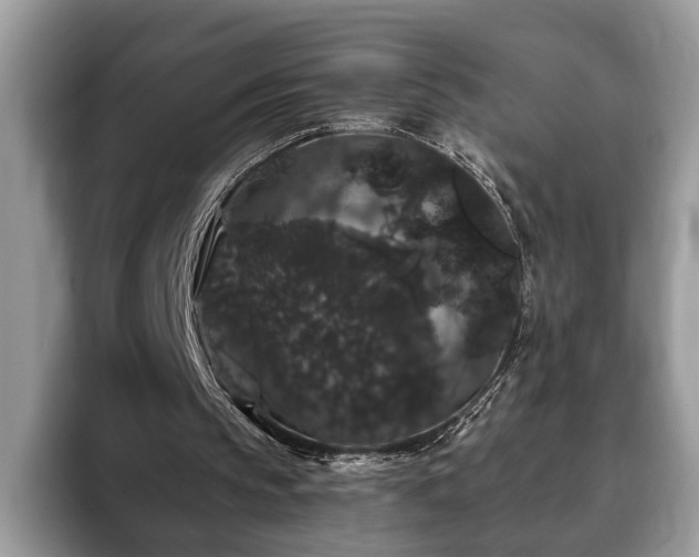 X0000093400145200710190931
